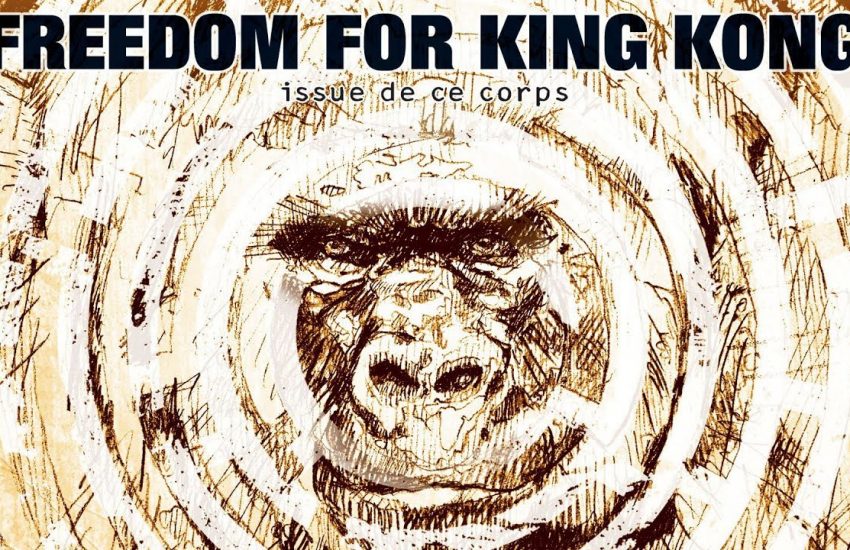 Libérez le Roi Kong