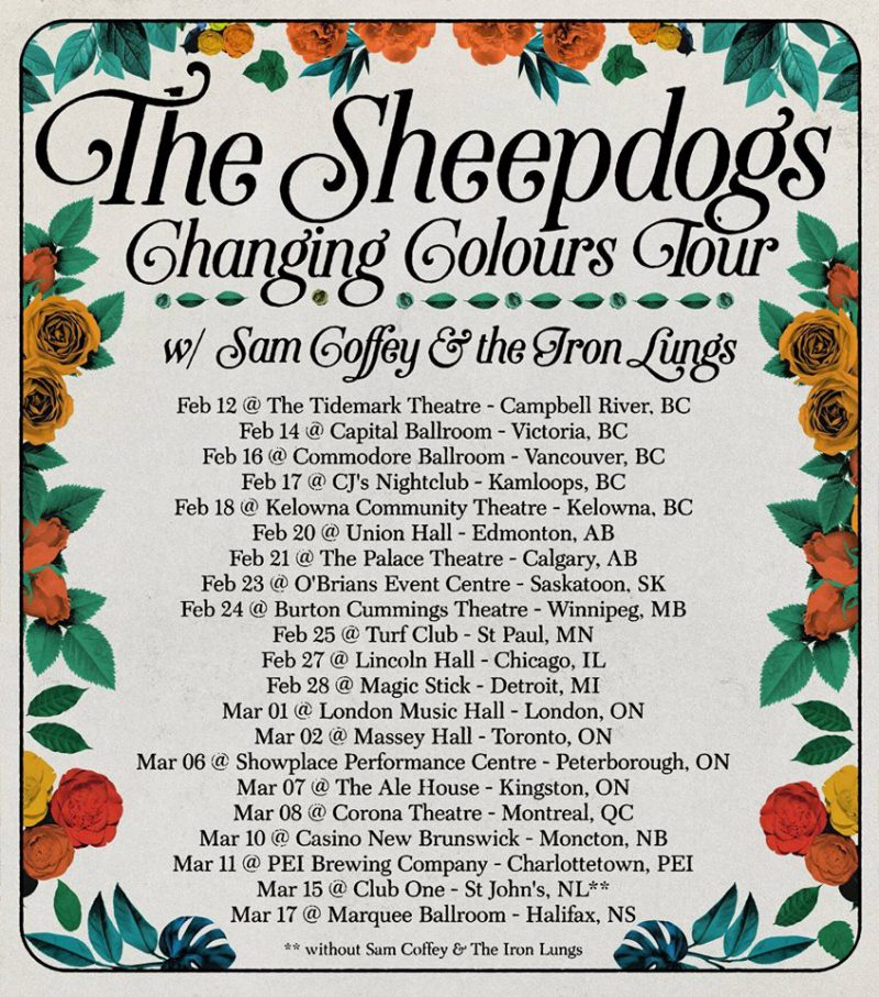 sheepdogs-poster-2018-800x907