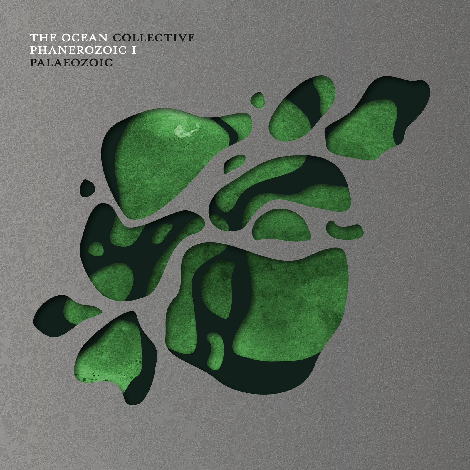 the ocean collective