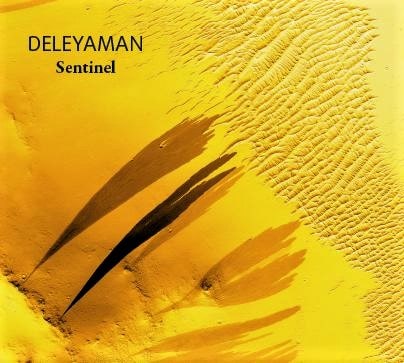 Deleyaman Sentinel 2020
