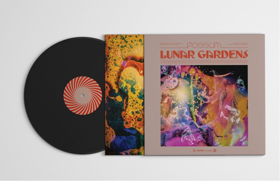 Possum: Lunar Gardens, album cosmique et pluriel